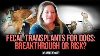 Why Integrative Vet Medicine is the Future of Pet Healthcare | Dr. Jamie Stover