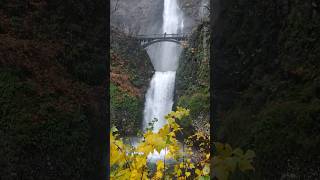 Waterfall mist #NatureWaterfall #naturebeauty #naturelovers