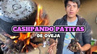 Cashpando Patitas de Oveja | GoñasVlog