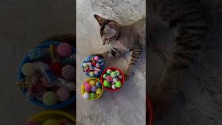 🌈Cat playing with Asmr beads, asmr beads falling items,Most satisfying beads video #dominigirl #cat