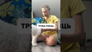 ЧТО НУЖНО ДЕЛАТЬ в ПОЛЬШЕ? #польша #дети #переезд #shorts #school