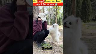 चोर भाई लड़की के साथ क्या करता है 😱 l #viral #shortvideo #trending @MRINDIAHACKER @CrazyXYZ