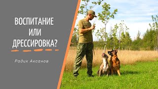 Воспитание или дрессировка? | Радик Аксанов