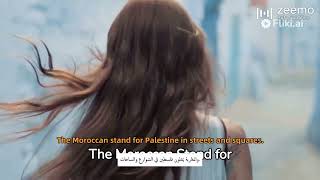 MOROCCANSOLIDARITY / تضامن كبير من الشعب المغربي تجاه فلسطين