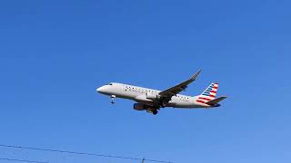 planes landing pearson airport NOV 18 24 TORONTO  #planes #planespotting #avgeek #viral #shorts #yyz