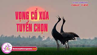 Vọng Cổ Xưa Tuyển Chọn - Ngọc GIàu - Lệ Thủy - Hoài Vĩnh Phúc - Kim Ngọc - Út Hiền