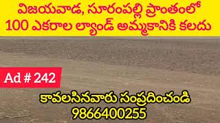 100 Acres Land For Sale in Surampalli, Vijayawada | సూరంపల్లి | Amaravathi | 9866400255