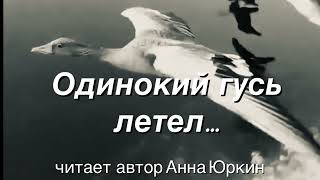 Одинокий гусь летел… #христианский #стих (читает автор Анна Юркин@)