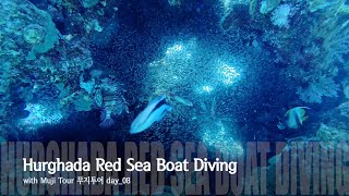 [4K] Egypt Hurghada Red Sea Boat Diving (with Muji Tour) 이집트 후루가다(홍해) 보트 펀 다이빙 with 무지투어 day_08