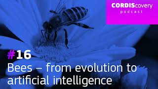 [CORDIScovery podcast] Bees – from evolution to artificial intelligence