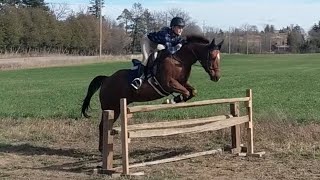 Awesome jumping day from a few months ago!