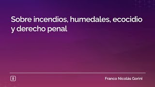 Sobre incendios, humedales, ecocidio y derecho penal