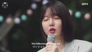 [Türkçe Altyazılı] Yerin | "I Wish" Cover