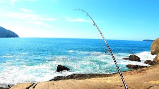 Essa costeira em Ubatuba só sai peixe grande acertei em cheio essa pescaria!