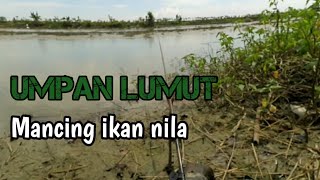 Mancing ikan nila di sungai