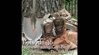 S1E36 Homesteading Can Be Dangerous..... Do It Safely