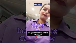 Indigo Hiring Cabin Crew -November 2024 #cabinecrew #indigo #aviation #travel #aviation #cabincrews