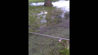 Flooding on The Meadows - Sat 15 June 2013 - 4790