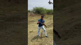 Snakehead catching