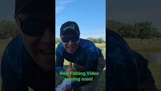 Tons of Bait fish! #shorts #foryou #fishing #bigfish #catfish #fyp #nature #viral #outdoors