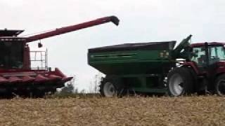 CaseIH 2388 2011 Corn Harvest St. Thomas MN