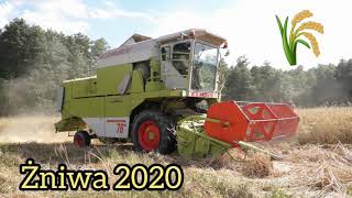 Żniwa 2020🌾💯 Koszenie jęczmienia ☆ WTOPA!!! Claas Dominator 76 w akcji 🔥