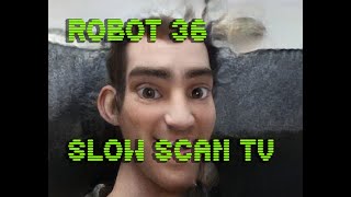 0094 Toonify SSTV Robot36