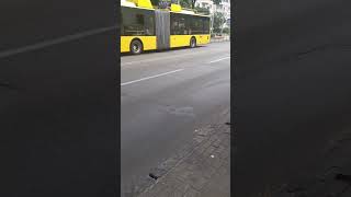 Маршрут 16 (Б-Т90117 #2347) #trolleybus #shorts