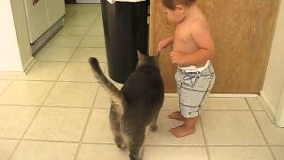 A little boy and his cat!