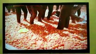 La Tomatina in Ranchi on the eve of Holi 2018