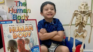 The Human Body for Kids | Learn with Skylar @ 4years old