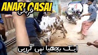 Anari Qasai 1 Janwar Nhi Gir Raha | Cow Qurbani 2023 | Cow Mandi | Cattle Express