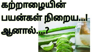 தினமும் சோற்று கற்றாழை சாப்பிடுவதால் கிடைக்கும் நன்மைகள் | Health Benefits of Aloe vera | HealthTips