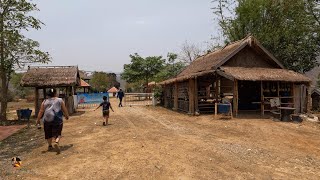 Go To Luang Prabamg Elephant Camp/mus caij ntxhw