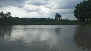 Encantos do Campo em Mato Grosso: Descubra a Beleza da Natureza!