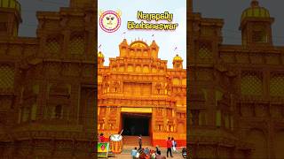 Durga Puja 2023 Bhubaneswar Nayapally #durgapuja #youtubeshorts