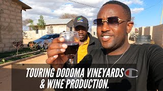 Touring  Vine yards & Wine Production in Hombolo | Dodoma Tanzania.