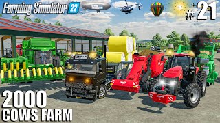 Harvesting COTTON and PREPPING SUGARCANE | 2000 Cows Farm Ep.21 | Farming Simulator 22