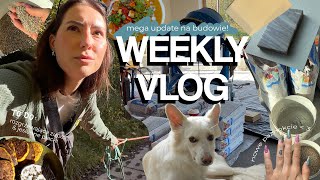 WEEKLY VLOG 🏠// dzieje się na budowie / wąsate życie / powrót do sportu / Tadzik update🐾/ dynia 🥘