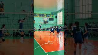 Какая игра?!😍 #volleyball #волейбол