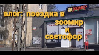 поездка в зоомир //светофор