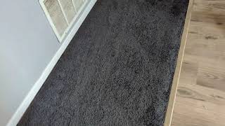 Home Remodel: New Carpet