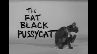 Fat Black Pussy Cat Teaser