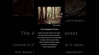 The Aokigahara Forest 🥀.@_.dark.magic._.#darkmagic #magic #witch #cursed #haunted #blackmagic