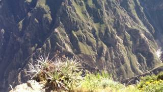 Mirador Cruz del Cóndor