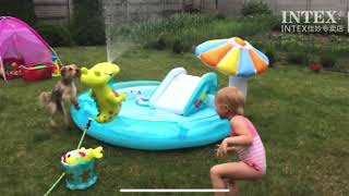 Feo intex inflatables pool