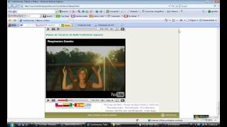 REIKI ONLINE CLASE 1 5_7.wmv