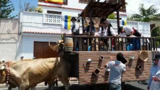 Romería de Valle de Guerra 2010 (Fotos)