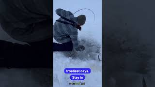 #fishing #icefishing #fishingvideo #shortsvideo #shorts