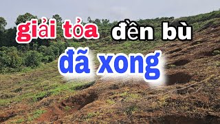 (gấp) giải phóng toàn bộ MẶT BẰNG...Bàn giao ...